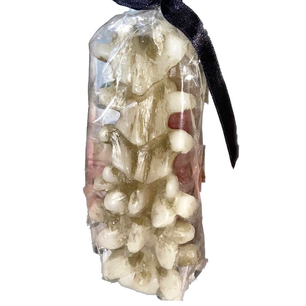 New- Vertebrae Candle